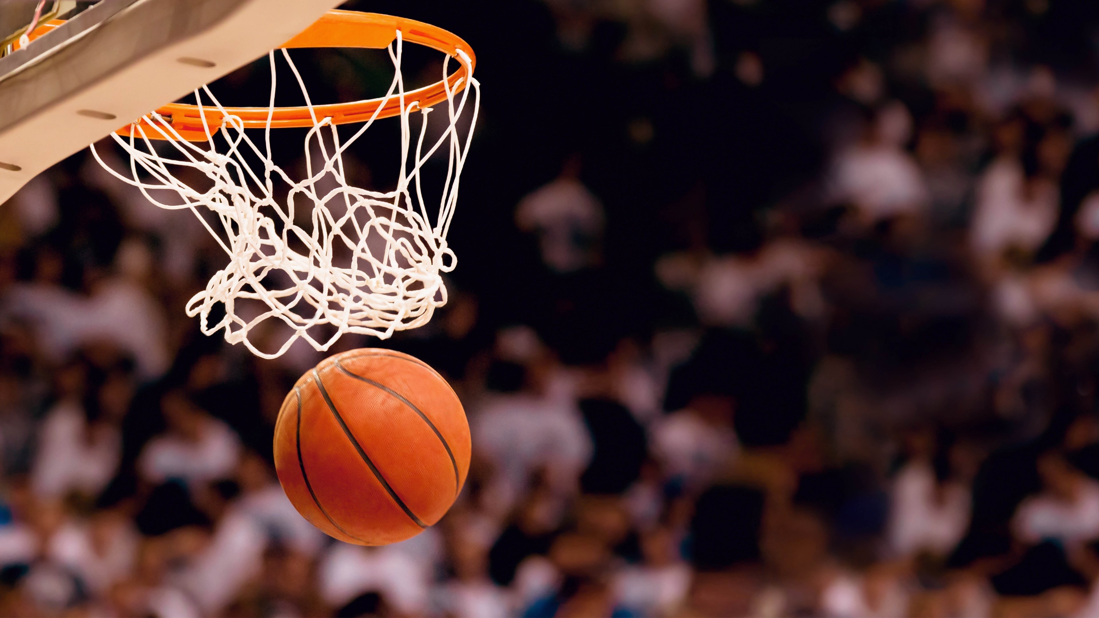离谱！篮网内讧引爆更衣室，公牛趁机官宣签约里尔，NBA常规赛备战突生变数